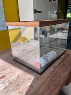Gerbilbak, Dieren en Toebehoren, Gebruikt, Minder dan 75 cm, Hamster, Hok