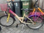 20 inch meisjes fiets alpina opknapper, Ophalen, Gebruikt, Alpina, Handrem