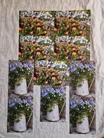 Ansichtkaarten Anneke Bleeker set 1, Ophalen of Verzenden