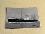 S168) Stoomschip SCHIEDYK HAL ROTTERDAM, Verzamelen, Ophalen of Verzenden, Zo goed als nieuw, Kaart, Foto of Prent