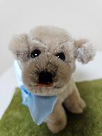 Steiff Mopsy mohair mops hond hondje oud 13cm jaren 60, Ophalen of Verzenden