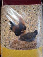 Kippenvoer, scharrelgraan, scharrelmix, legkorrel, legmeel, Dieren en Toebehoren, Ophalen, Nieuw, Drinken en Voederen