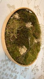 Mosschilderij in houten lijst (doorsnede van 44 cm.), Huis en Inrichting, Ophalen of Verzenden, Zo goed als nieuw