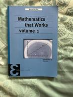 Mathematic that works volume 1, Boeken, Ophalen of Verzenden, Beta, Gelezen, WO