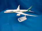 NIEUW! Boeing 787-8 ANA Future special (nieuw), Schaalmodel, ., Nieuw, Ophalen of Verzenden