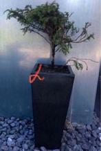 Mooie antraciet terracotta bloempotten, handgemaakt, 25 tot 40 cm, Gebruikt, Rond, Ophalen of Verzenden