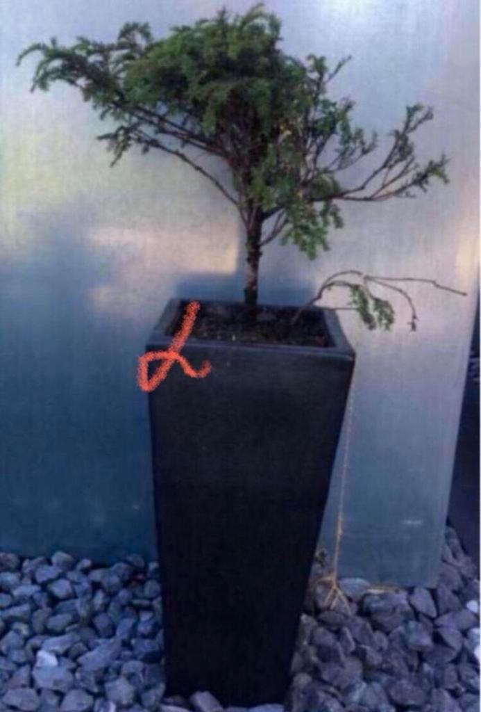 Mooie antraciet terracotta bloempotten, handgemaakt, Tuin en Terras, Bloempotten, Gebruikt, Terracotta, Binnen, Balkon, Tuin, 40 tot 70 cm