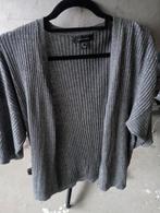 Mooi vest maat 40, Kleding | Dames, Tops, Ophalen of Verzenden, Zo goed als nieuw, Maat 38/40 (M), Lange mouw