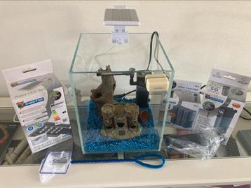 Aquarium starter met lamp, filter, sierelement, stenen beschikbaar voor biedingen