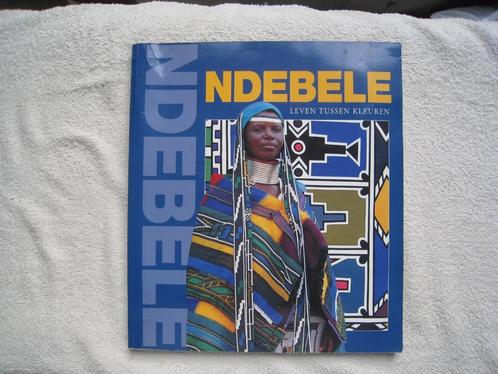 Ndebele: leven tussen kleuren, Boeken, Kunst en Cultuur | Fotografie en Design, Gelezen, Fotografie algemeen, Ophalen of Verzenden