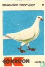 Kroon lucifermerk - Stralsunder Hoogvlieger, Ophalen of Verzenden, Zo goed als nieuw, Luciferdoosjes of -merken