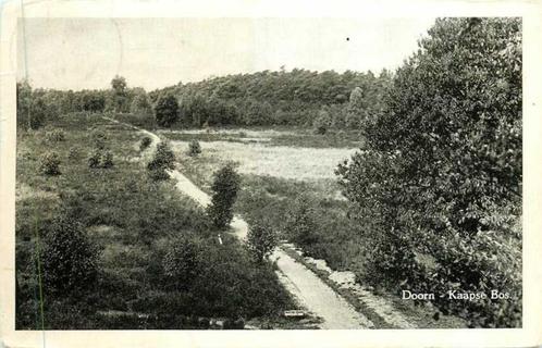 (380-034-009) Doorn Kaapse Bos, Verzamelen, Ansichtkaarten | Nederland, Utrecht, Verzenden