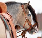 Mooi Edix ED3 Rose Western hoofdstel inclusief teugels - Cob, Dieren en Toebehoren, Ophalen of Verzenden, Zo goed als nieuw, Western