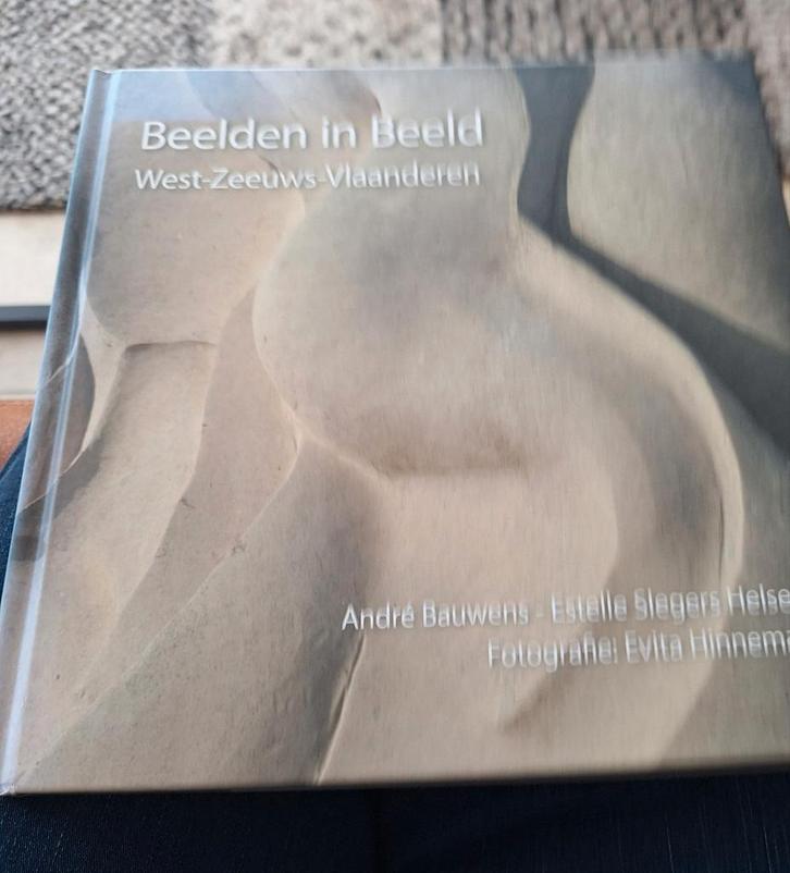 Beelden in West Zeeuws-Vlaanderen, Boeken, Geschiedenis | Stad en Regio, Zo goed als nieuw, 20e eeuw of later, Ophalen of Verzenden