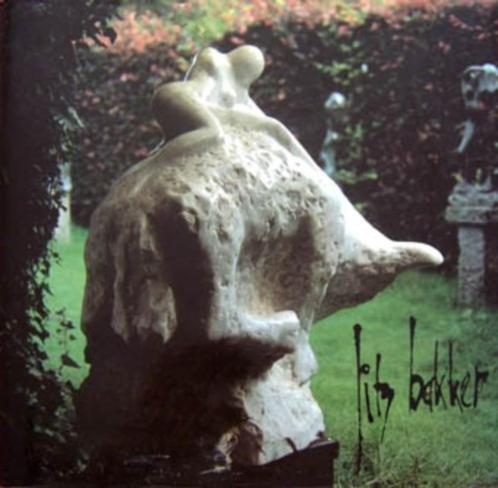 Jits Bakker. 35 jaar beeldend kunstenaar, Boeken, Kunst en Cultuur | Beeldend, Zo goed als nieuw, Schilder- en Tekenkunst, Ophalen of Verzenden