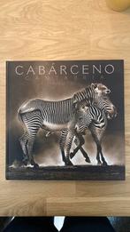 Cabárceno - Marina Cano - natuur fotoboek, Ophalen of Verzenden, Zo goed als nieuw