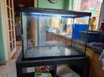 Aquarium superfish, Ophalen of Verzenden, Gebruikt, Leeg aquarium