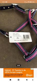Veulen / pony halster, Dieren en Toebehoren, Paarden en Pony's | Hoofdstellen en Tuigage, Ophalen, Nieuw, Overige soorten