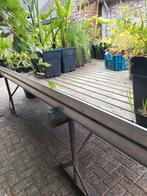 Kweek tafel, planten tafel, Tuin en Terras, Ophalen, Overige materialen, Minder dan 60 cm, Rond