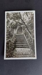 Oosterbeek, Trapopgang Westerbouwing, Verzamelen, Ansichtkaarten | Nederland, Verzenden, 1940 tot 1960, Gelopen, Gelderland