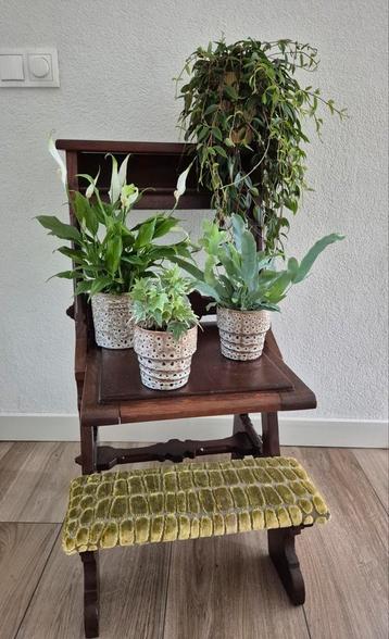 Bidstoel / plantentafel beschikbaar voor biedingen