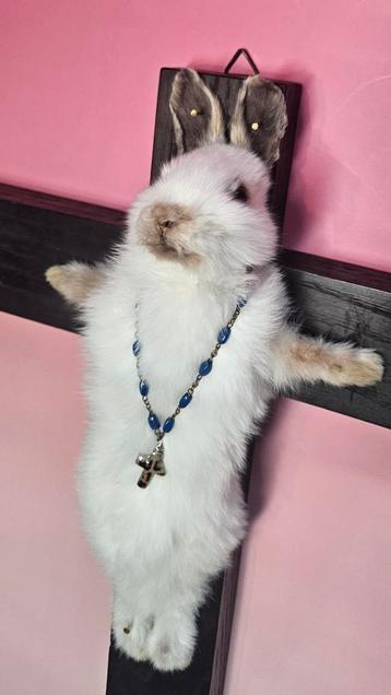 Taxidermy heilige bunny op kruis. beschikbaar voor biedingen