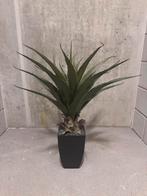Kunst Cactus | 75 CM | Nooit meer water geven!, Ophalen of Verzenden, Zo goed als nieuw, Binnen