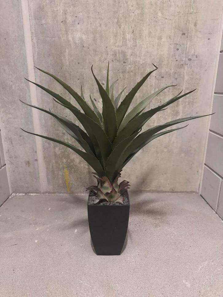 Kunst Cactus | 75 CM | Nooit meer water geven!, Huis en Inrichting, Woonaccessoires | Kunstplanten en Kunstbloemen, Zo goed als nieuw