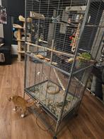 Grote parkieten  kooi, Dieren en Toebehoren, Vogels | Hokken en Kooien, Ophalen, Zo goed als nieuw, Metaal, Vogelkooi