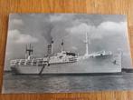 Ansichtkaart Zuiderkruis 1954, Verzamelen, Scheepvaart, Ophalen of Verzenden, Gebruikt