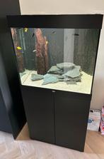 Lido Aquarium 200L – Compleet & Klaar voor Gebruik, Dieren en Toebehoren, Vissen | Aquaria en Toebehoren, Ophalen, Zo goed als nieuw