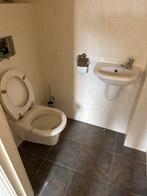 Sphinx Toilet en Fontein, Ophalen, Gebruikt, Steen, Toilet