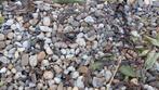 Kiezelstenen - Tuin & Decoratie, Ophalen, Overige materialen, Gebruikt, Kei