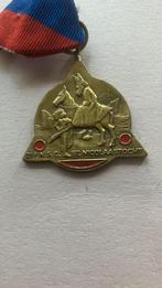 SINT NICOLAASTOCHT OUDE MEDAILLE, Postzegels en Munten, Penningen en Medailles, Verzenden, Brons, Nederland