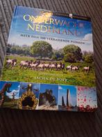 Bartho Hendriksen - Onverwacht Nederland, Boeken, Capitool, Bartho Hendriksen, Ophalen of Verzenden, Zo goed als nieuw