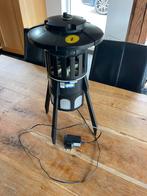 Muggen insecten verdelger, Overige soorten