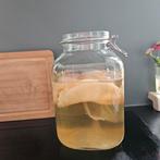 Scoby (kombucha zwam), Diversen, Ophalen