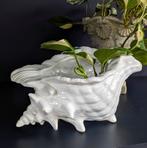 Vintage keramische schelpen plantenbak bloempot sierpot, Rond, Ophalen of Verzenden, Zo goed als nieuw, Minder dan 25 cm