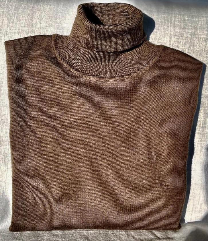 bruine trui van wol van Alpha Massimo Rebecchi, Kleding | Dames, Truien en Vesten, Zo goed als nieuw, Maat 42/44 (L), Bruin, Ophalen of Verzenden