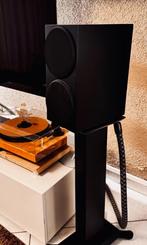 Buchardt P300 High-End Compact Speakers Nieuwstaat, Audio, Tv en Foto, Overige merken, Ophalen of Verzenden, Zo goed als nieuw