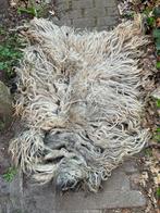 4+1 gratis schapenvachten mooie kwaliteit viltvachten vilt, Ophalen of Verzenden, Nieuw, Overige typen, Wolvilt