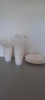 Wegwerp Servies Set, Ophalen of Verzenden, Zo goed als nieuw