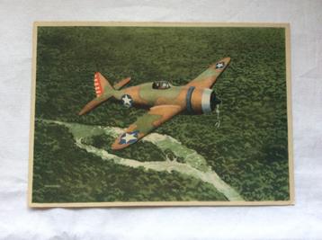 Republic Thunderbolt jachtvliegtuig USAAF 2e wereldoorlog beschikbaar voor biedingen