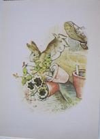 Beatrix Potter - tale of Peter Rabbit - 1920, Overige thema's, Ongelopen, Verzenden, 1980 tot heden