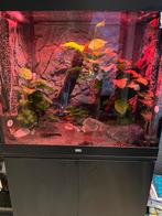 Juwel Lido 200 + onderkast & Eheim apparatuur. Nieuw €1650,-, Dieren en Toebehoren, Vissen | Aquaria en Toebehoren, Ophalen, Zo goed als nieuw