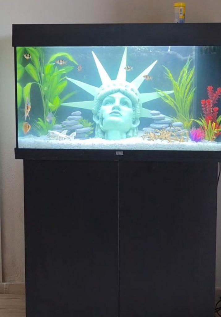 Zeer net onderhouden aquarium met bijpassend meubels, Dieren en Toebehoren, Vissen | Aquaria en Toebehoren, Zo goed als nieuw