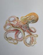 Octopus, Ophalen of Verzenden