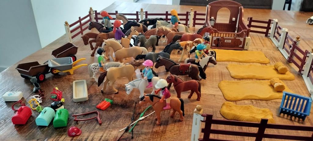 Te koop: grote playmobil verzameling zeer divers, Ophalen of Verzenden