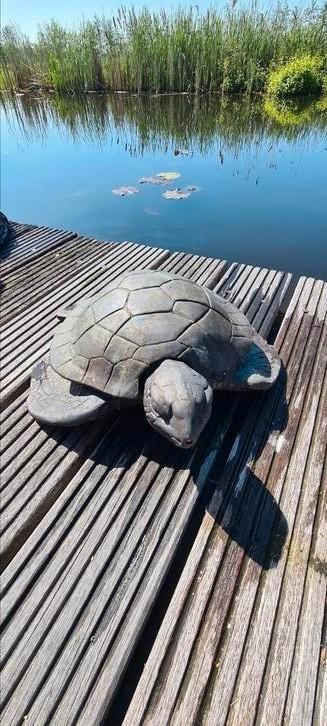 Schildpad brons exclusief  beschikbaar voor biedingen