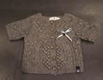 Grijze vest van Lot & Binc maat 92, Ophalen of Verzenden, Zo goed als nieuw, Jongen, Trui of Vest